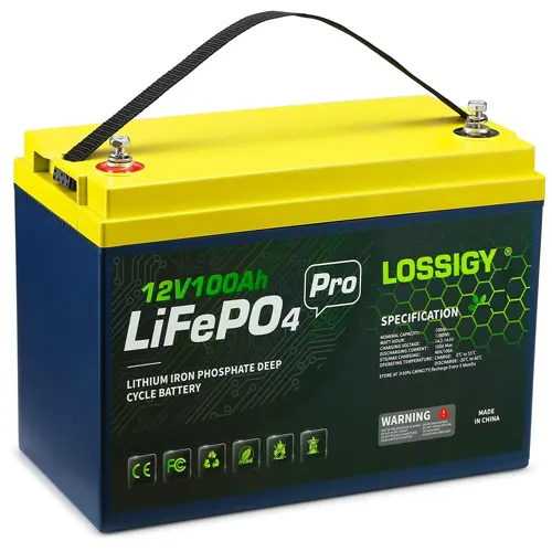HIQBATTERY 12V 100AH LiFePO4 Lithium Iron Battery for RV Solar Trolling  Motor